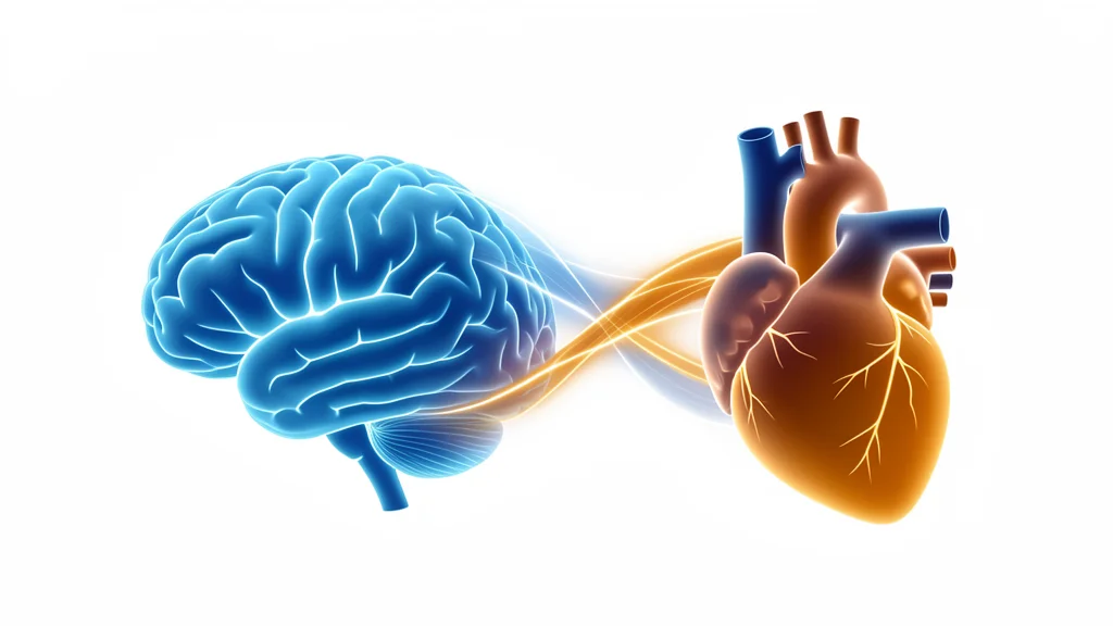 Cerebro e coracao conectados mostrando ligacao TNF e depressao Cerebro e coracao conectados TNF e depressao