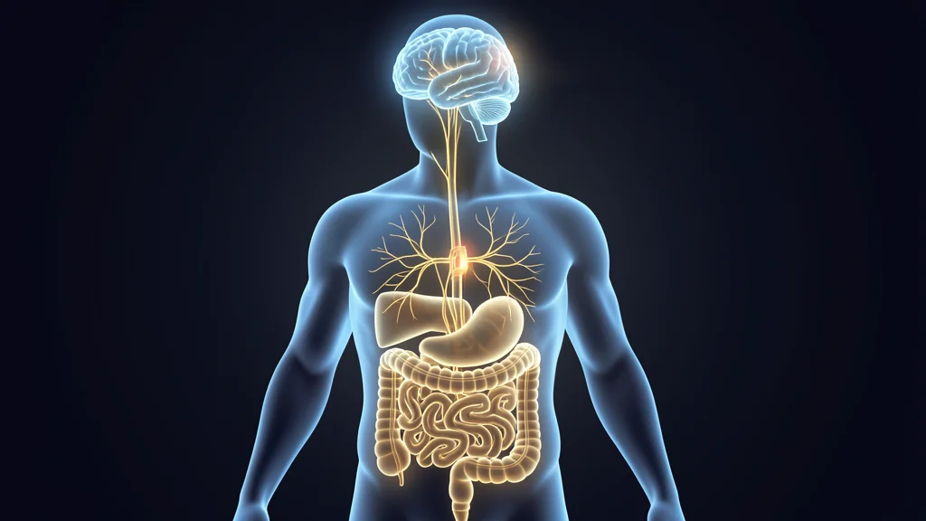 TNF e Síndrome do Intestino Irritável: A Conexão Que Ninguém Explica